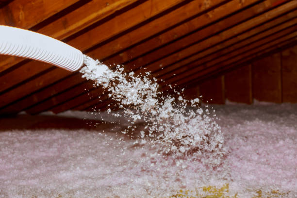 Best Best Insulation Companies  in Chesterfield, MO