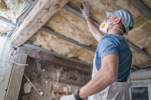 Best Residential Insulation Services  in Chesterfield, MO