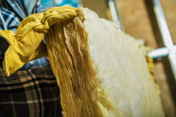 Best Professional Insulation Contractor  in Chesterfield, MO