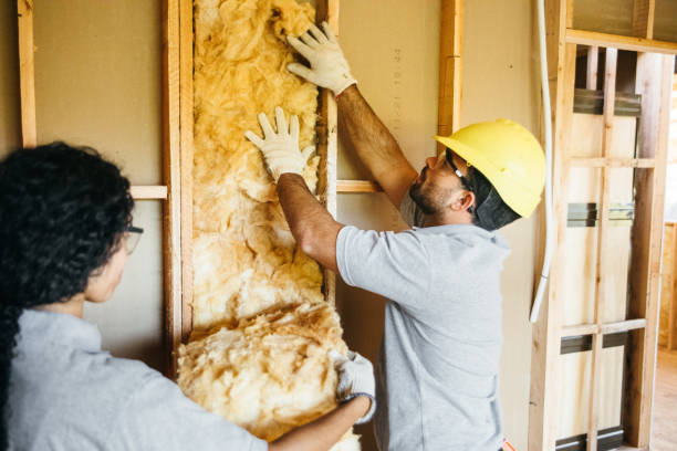Best Residential Insulation Services  in Chesterfield, MO